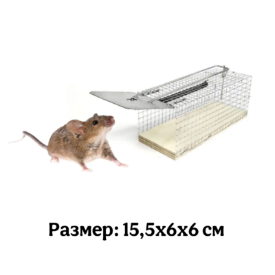Мышеловка-клетка большая